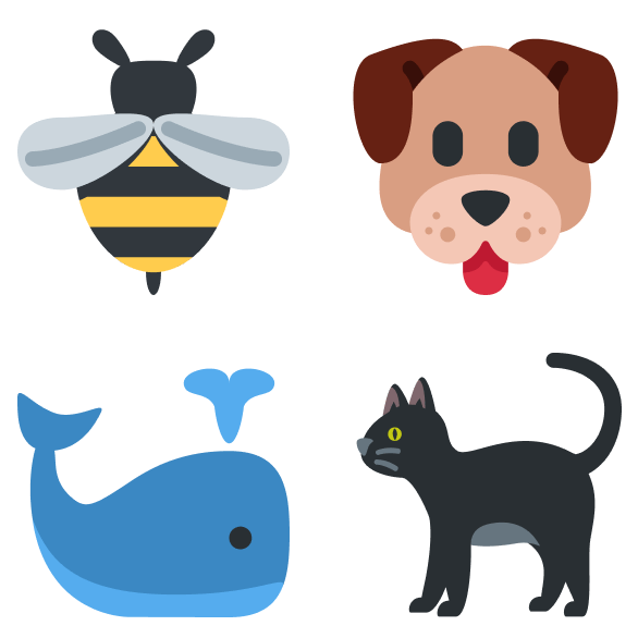 Example images of the Animals words
