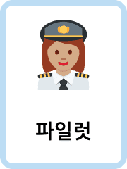 Korean Jobs flashcards example flashcard