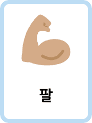 Korean Parts of the Body flashcards example flashcard