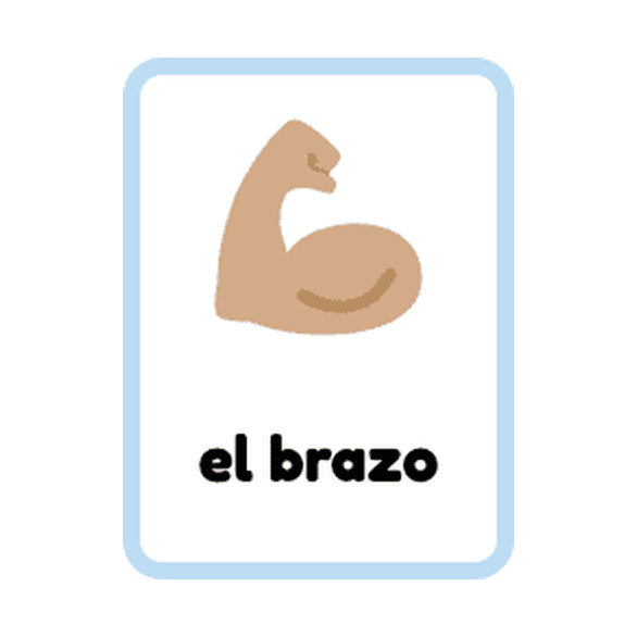 Spanish Parts of the Body flashcards example printable flashcard
